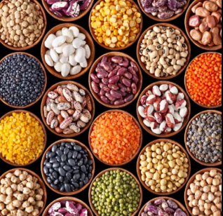 pulses from organic farm pulses from organic farm